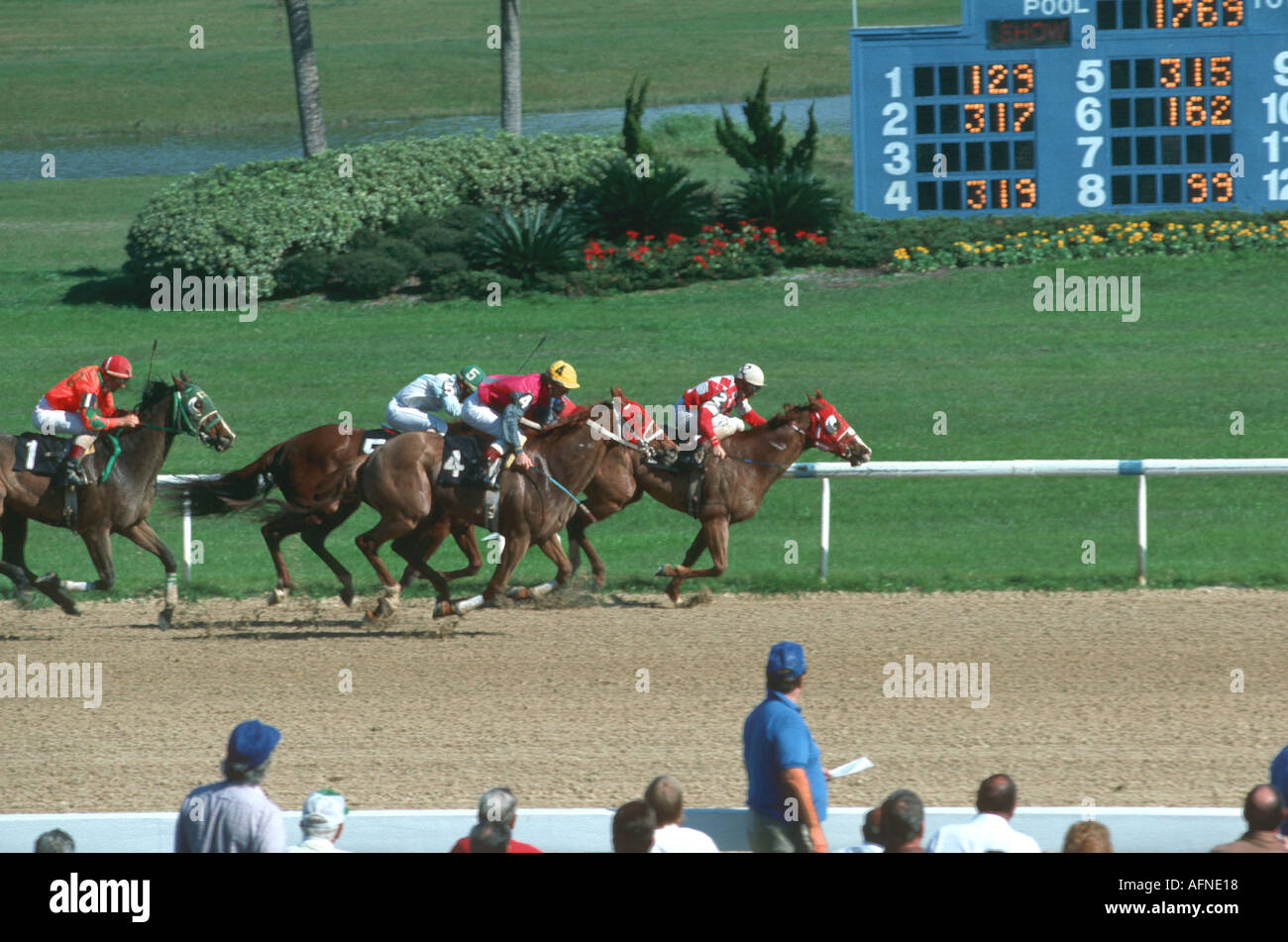 Courses de chevaux pur-sang Downs Tampa Bay Floride FL Tampa Banque D'Images