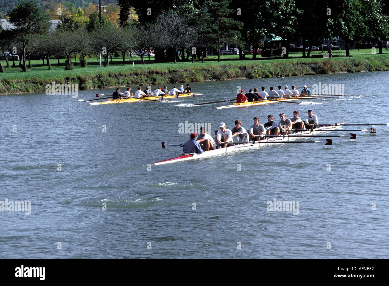 Les étudiants de l'Université Cornell, la pratique de l'équipe de sport rowing sculling Banque D'Images