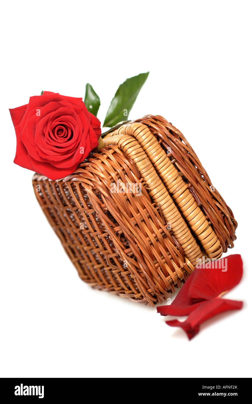 Belle rose rouge et étui de voyage de noces vacances romance concept l'accent sur la rose Banque D'Images