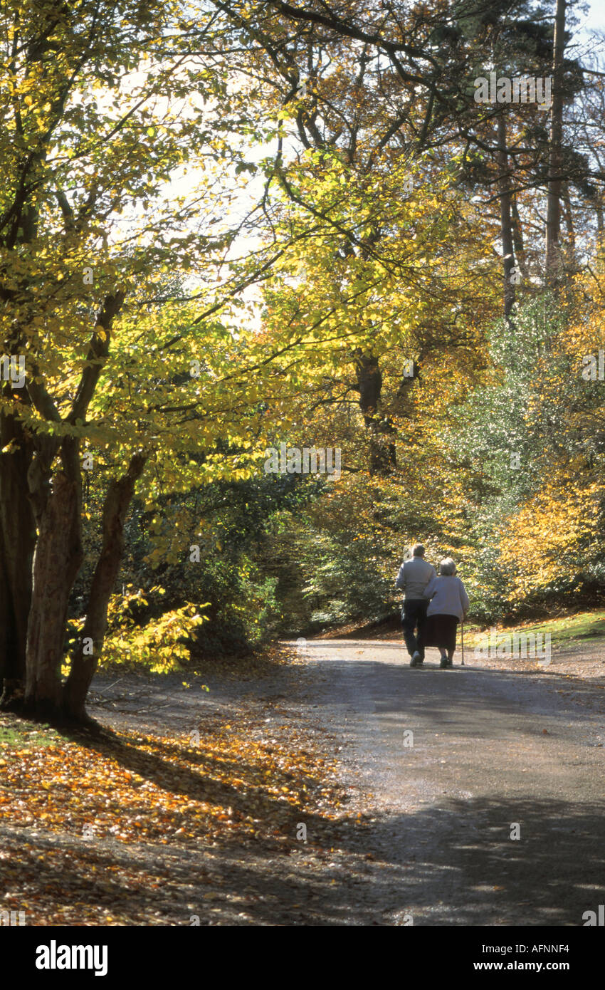 La forêt d'Epping vieux couple marchant le long chemin de campagne couleurs automnales Banque D'Images