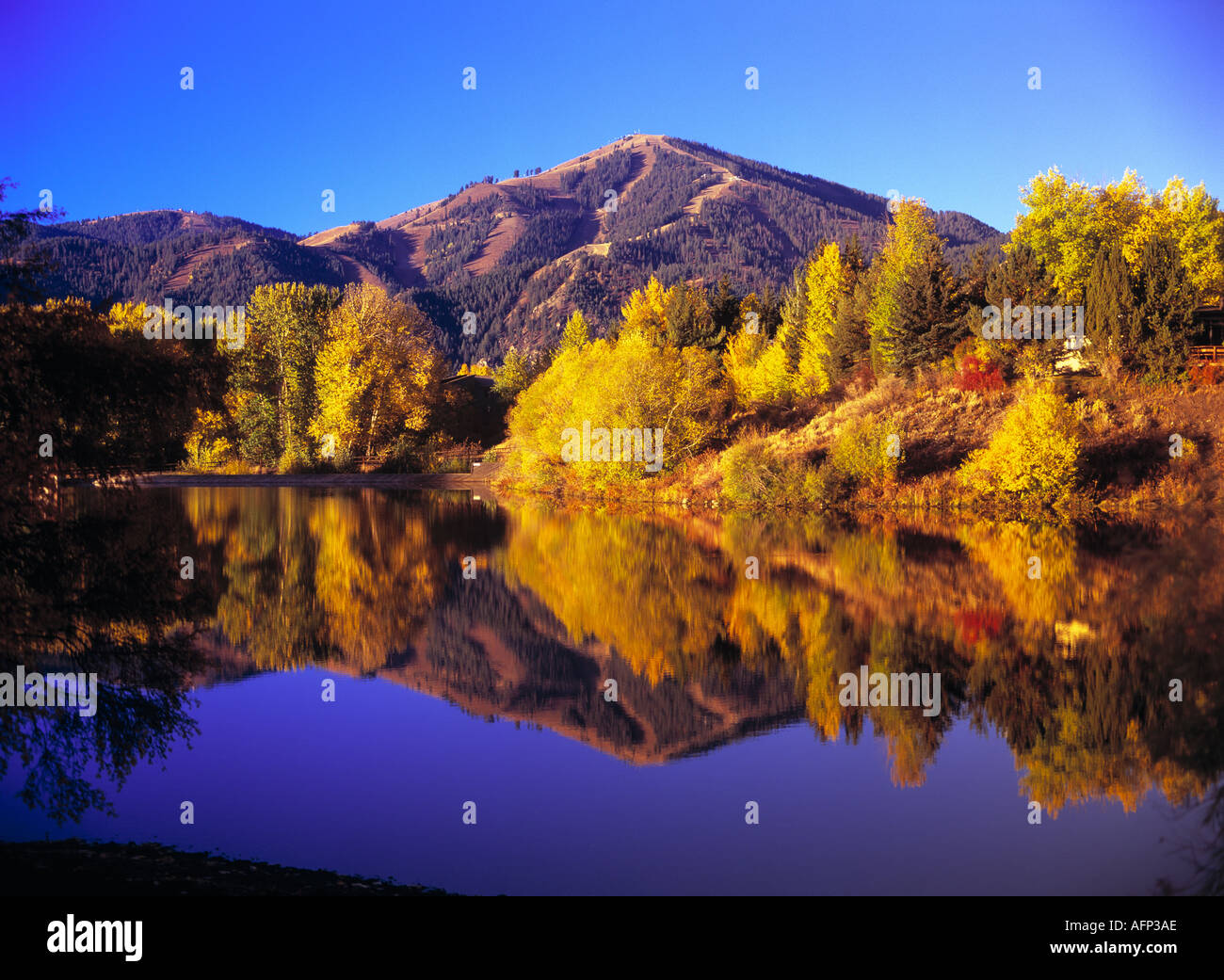USA Washington Resort Town of Sun Valley Automne scenic Trail Creek et de l'étang de mont Baldy ski area Banque D'Images