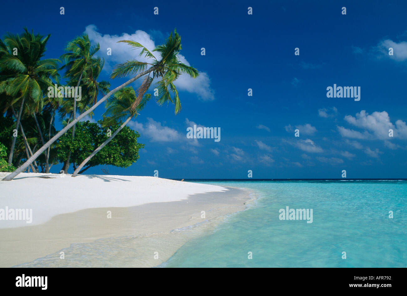Tropical Beach Kuda Bandos atoll de Male Sud Maldives Banque D'Images