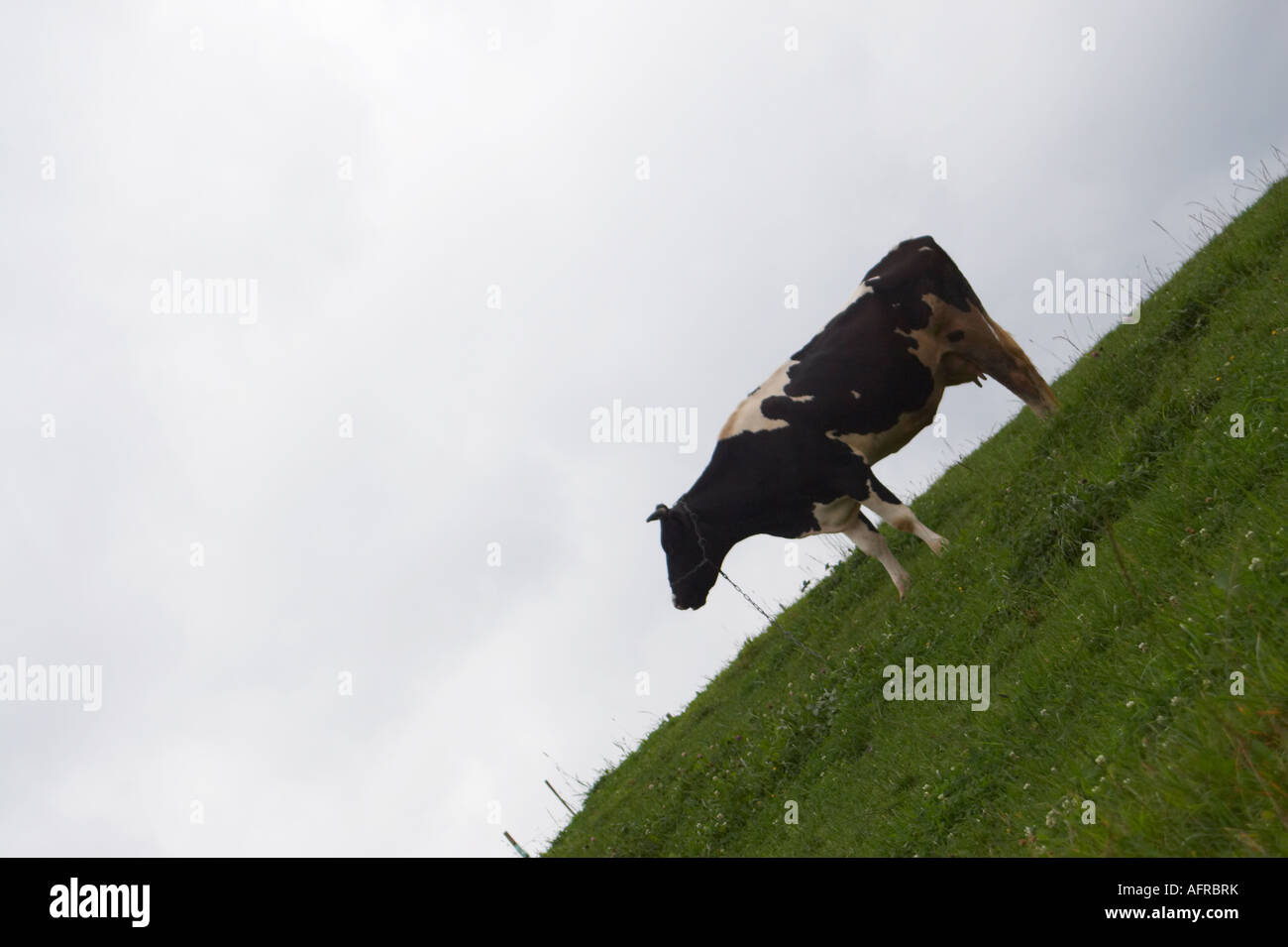 Montagnes polonaises, Beskidy Banque D'Images