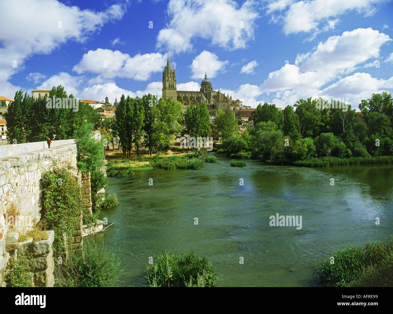 Pont romain sur la rivière Tormes avec nouvelle cathédrale à Salmanca Spain Banque D'Images