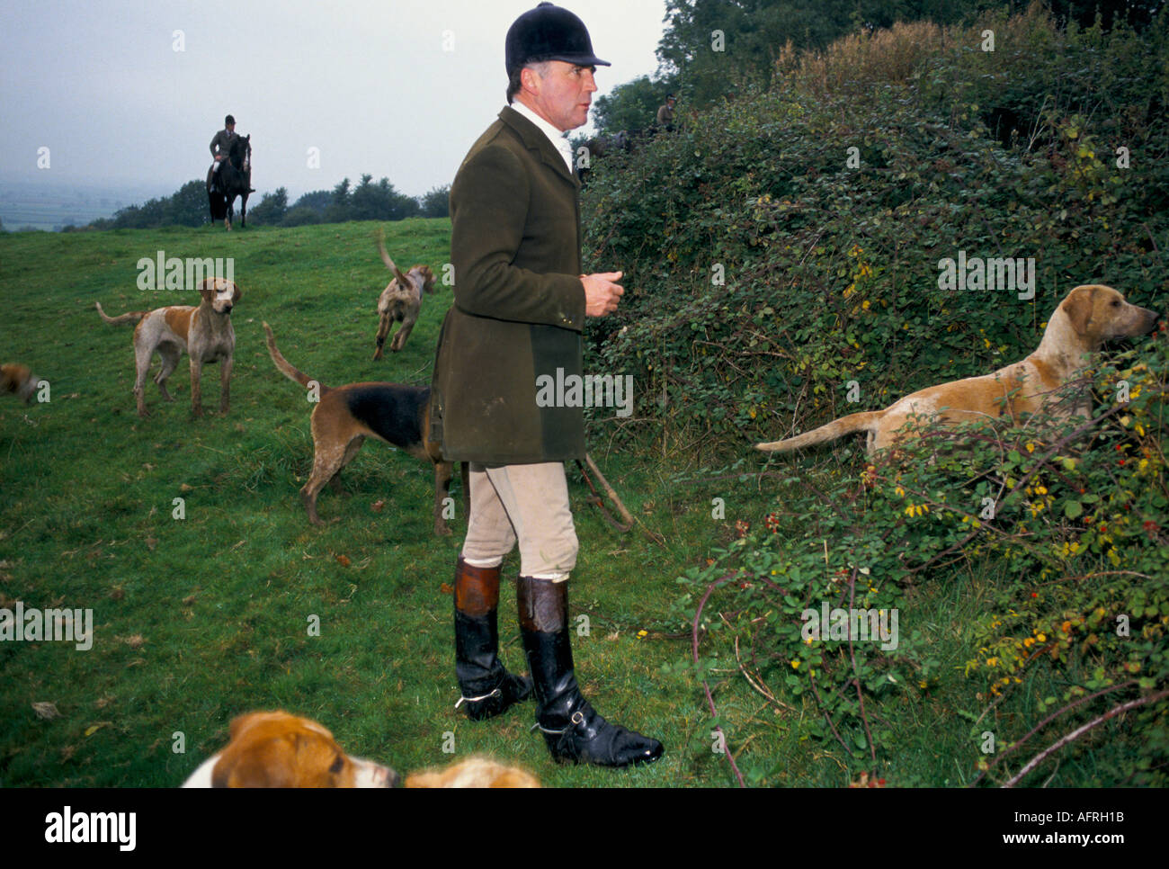 Capitaine Ian Farquhar Maître conjoint lDuke de Beaufort Hunt Badminton le Fox est allé au sol. Gloucestershire 1996 1990s Royaume-Uni HOMER SYKES Banque D'Images