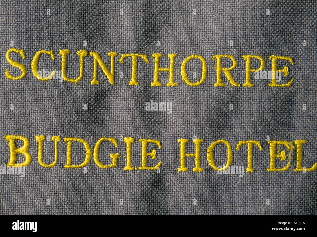 Budgie Hotel, Scunthorpe, Lincolnshire années 1990 1994 Royaume-Uni HOMER SYKES Banque D'Images