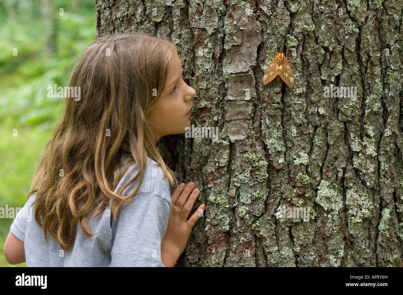 Jeune fille noire d'observation de la forêt de feuillus Noyer Royal E USA Banque D'Images