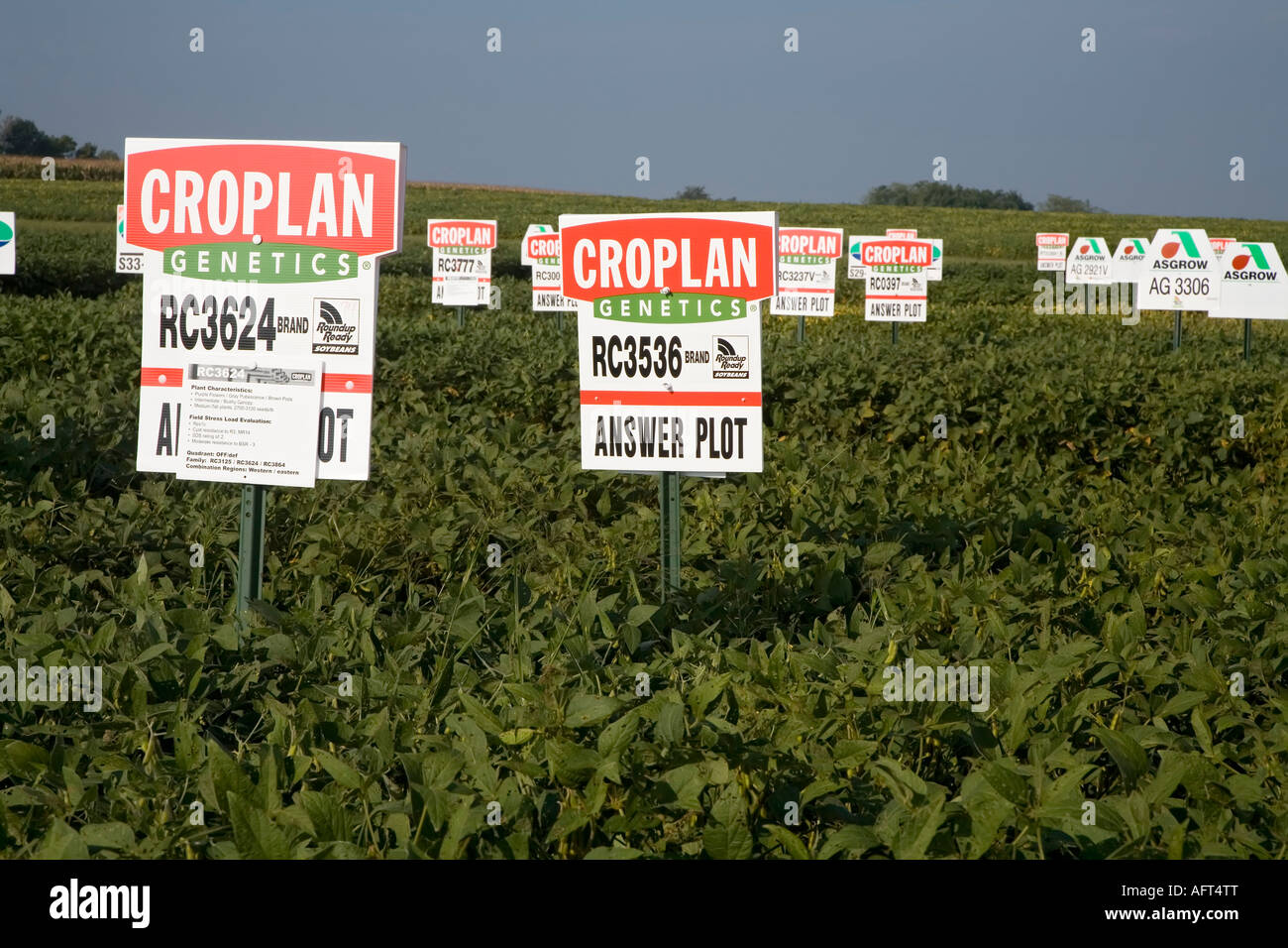 Croplan Genetics Répondre à tracer Banque D'Images