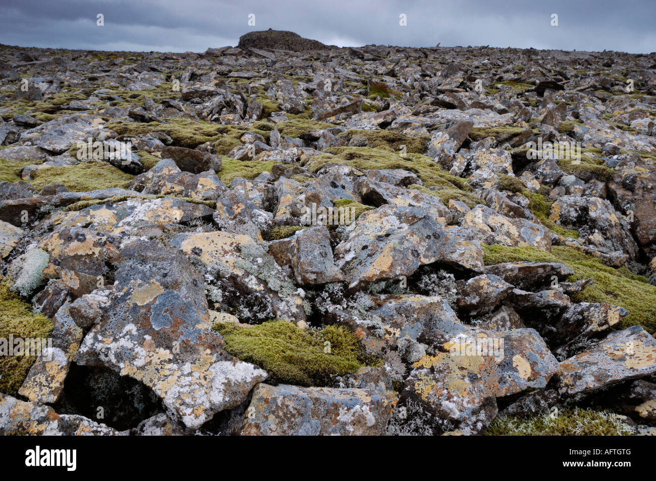 Sur le plateau du sommet des rochers Klakkur Islande Snæfellsnes Banque D'Images