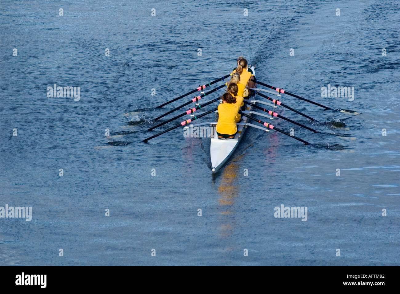 Le sport, l'aviron sur la Rivière Yarra Banque D'Images