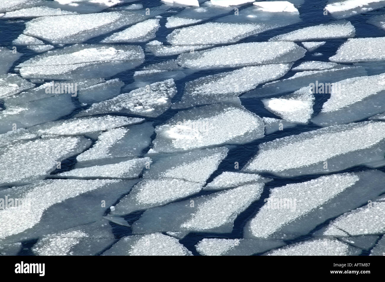 La glace de mer cassée antarctique de la mer de Weddell Banque D'Images