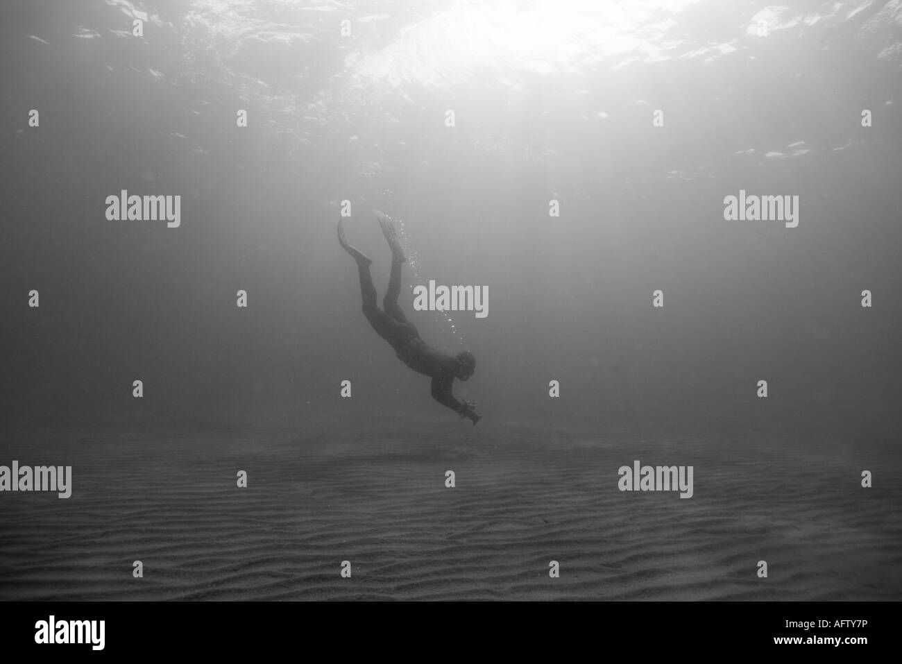 L'Argentine de la Province de Chubut Puerto Piramedes sous-vue de Free diver plongée avec tuba le long fond de sable de la baie Shallow Banque D'Images