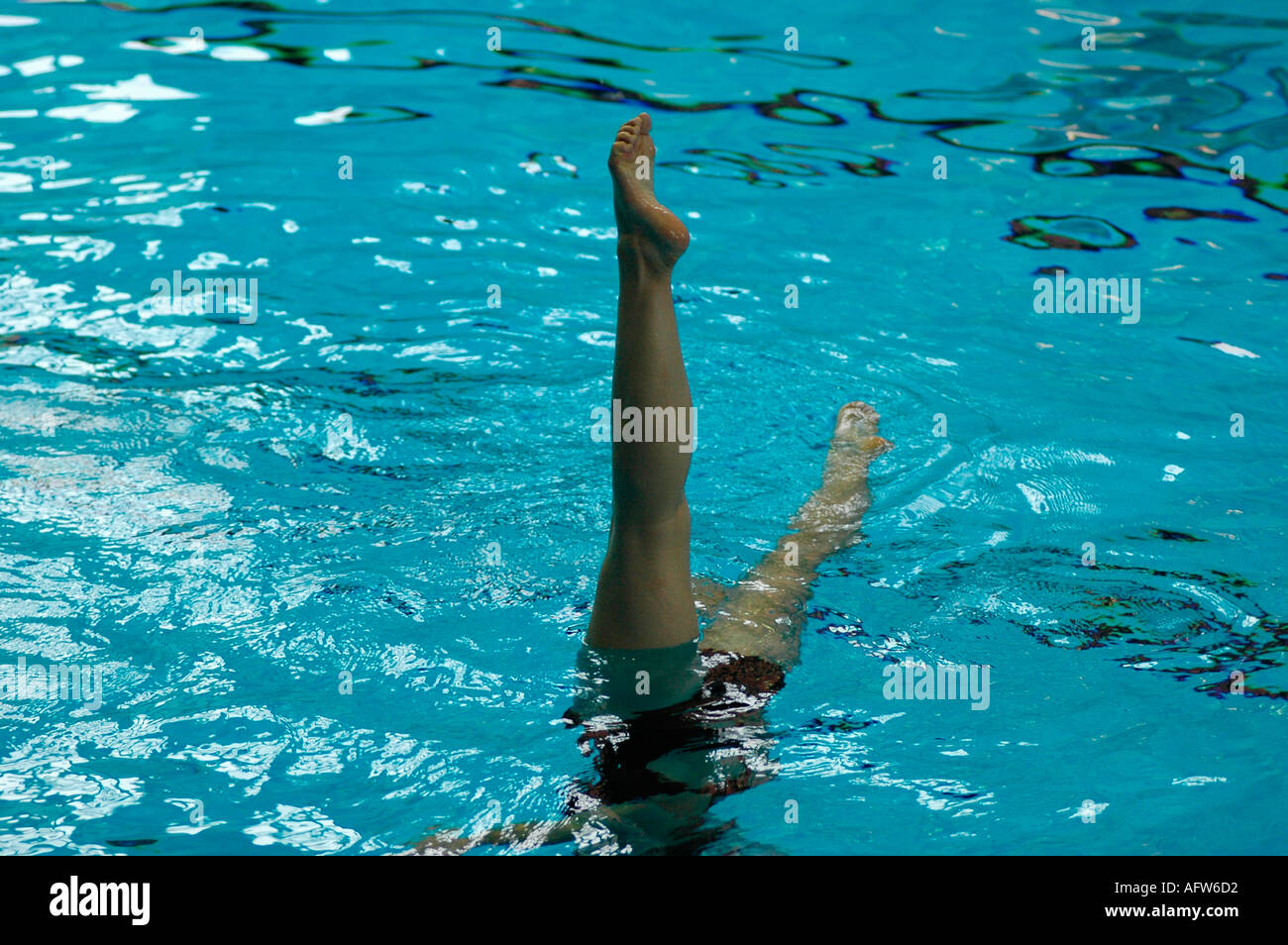 Championnats de natation synchronisée BRITANNIQUE WALSALL Banque D'Images