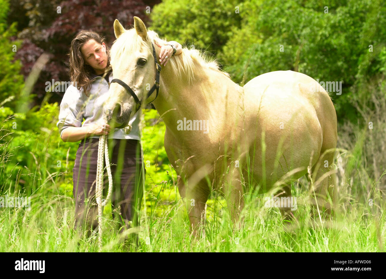 HORSE WHISPERER NICOLE GOLDING QUI UTILISE SES TECHNIQUES POUR AIDER L