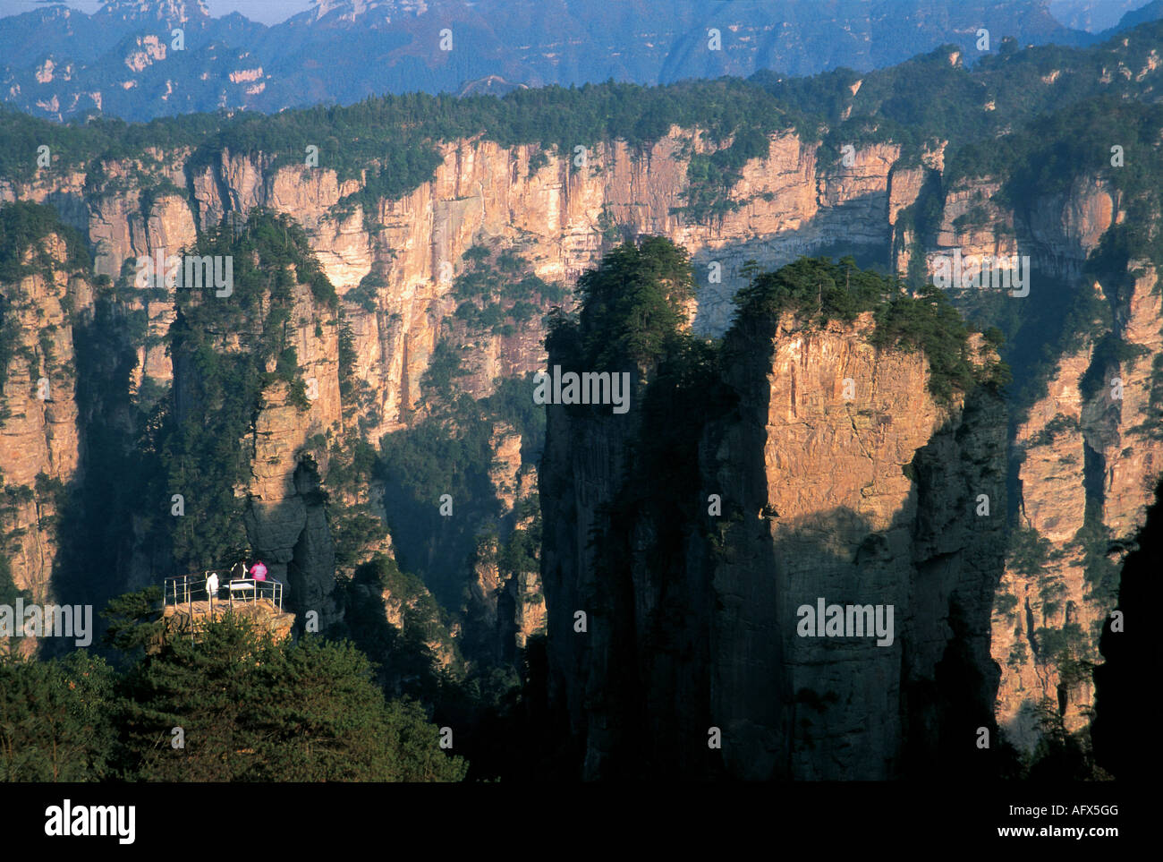 Piliers rocheux passer de l'étage d'une forêt subtropicale dans le Wulingyuan Scenic Area. Banque D'Images