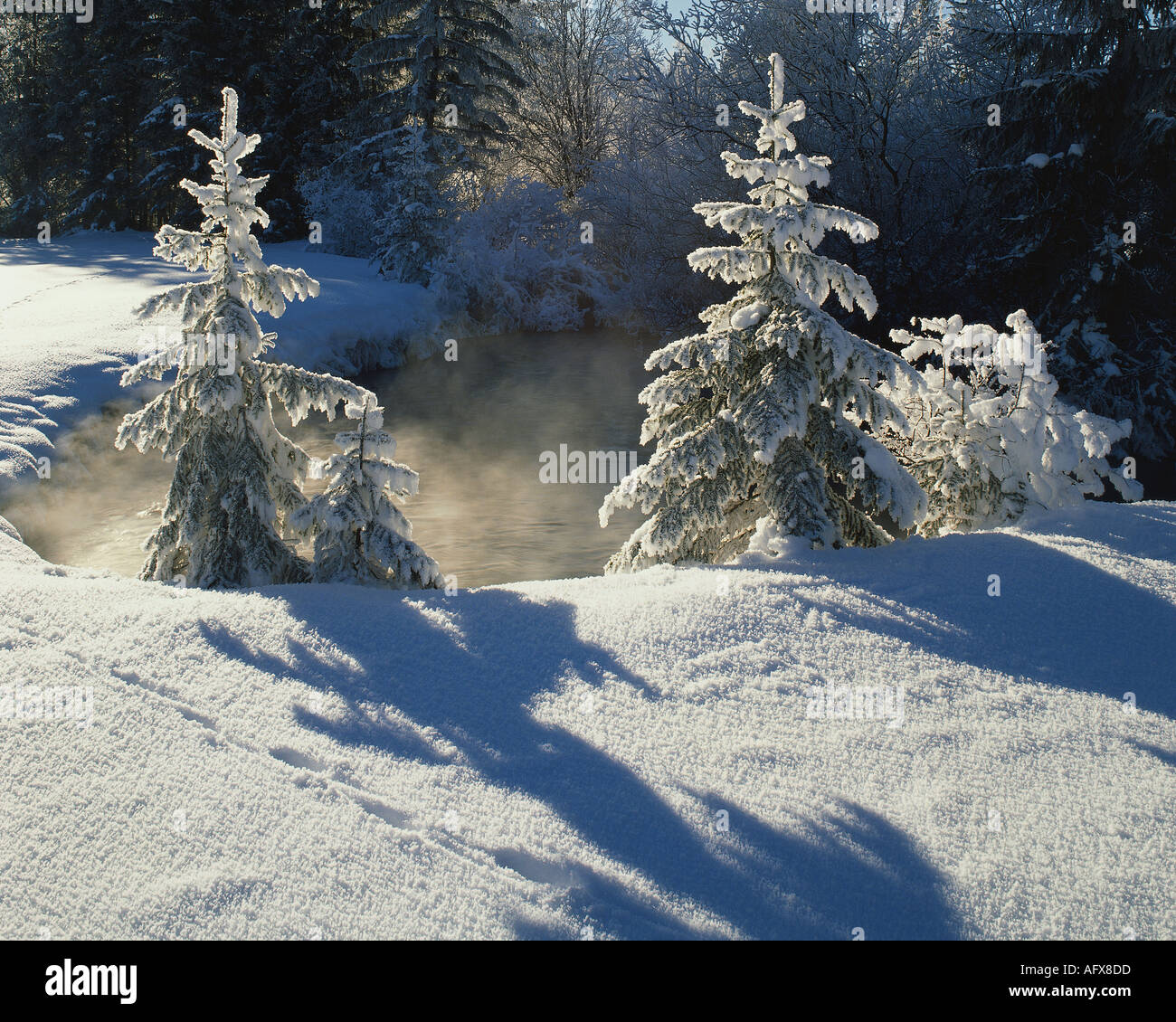 DE - La Bavière : Winterscene près d'Ettal Banque D'Images