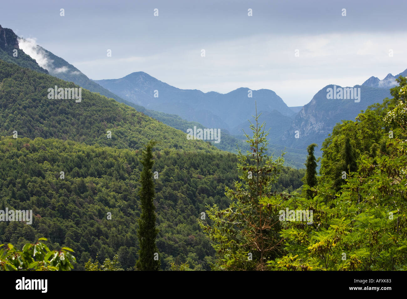 Montagnes de la vallée de la Tinee, France dans les Alpes Maritimes, France, Europe Banque D'Images