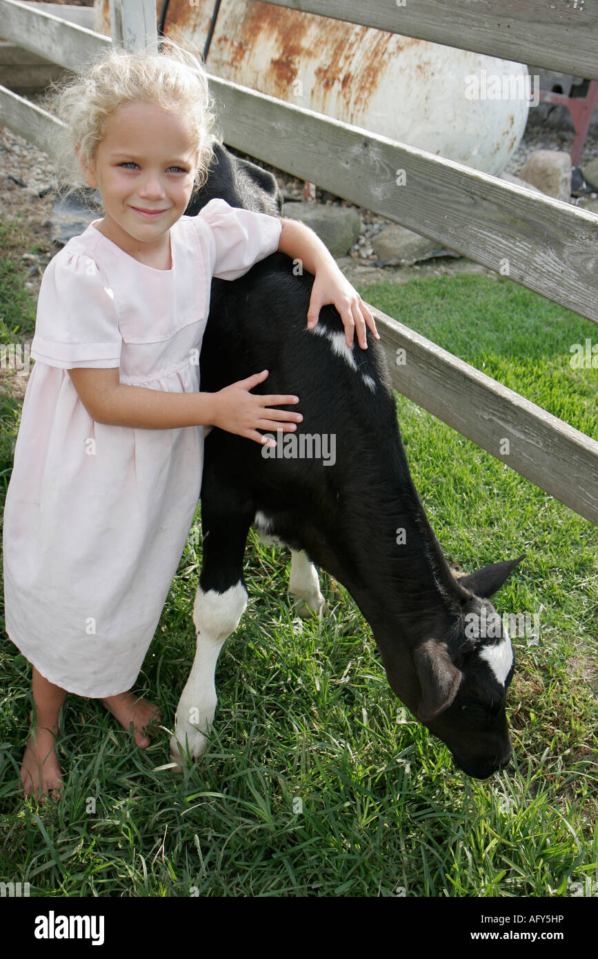 Shipshewana Indiana, Amish Farm Tour, filles, jeunes jeunes jeunes jeunes jeunes jeunes filles enfant enfants enfants enfants, veau, les visiteurs voyage à Banque D'Images