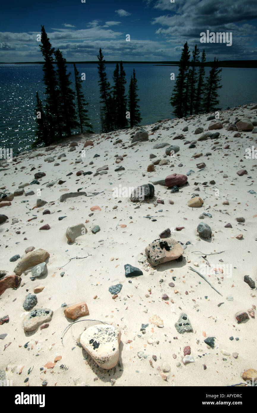 Paysage de sable à côté du lac Whitefish dans une région appelée la toundra dans les Territoires du Nord-Ouest, Canada. Banque D'Images