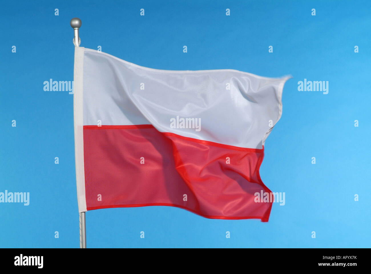 Drapeau national polonais contre le ciel bleu Banque D'Images