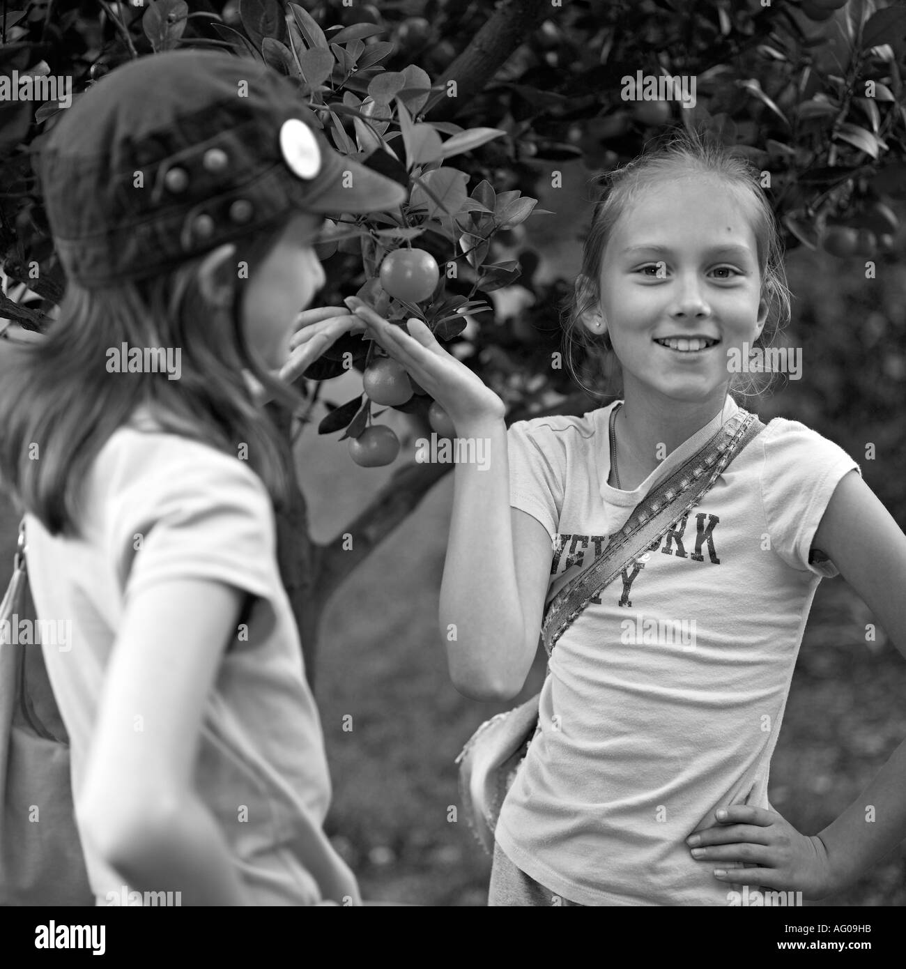 Deux filles avec un arbre Banque D'Images