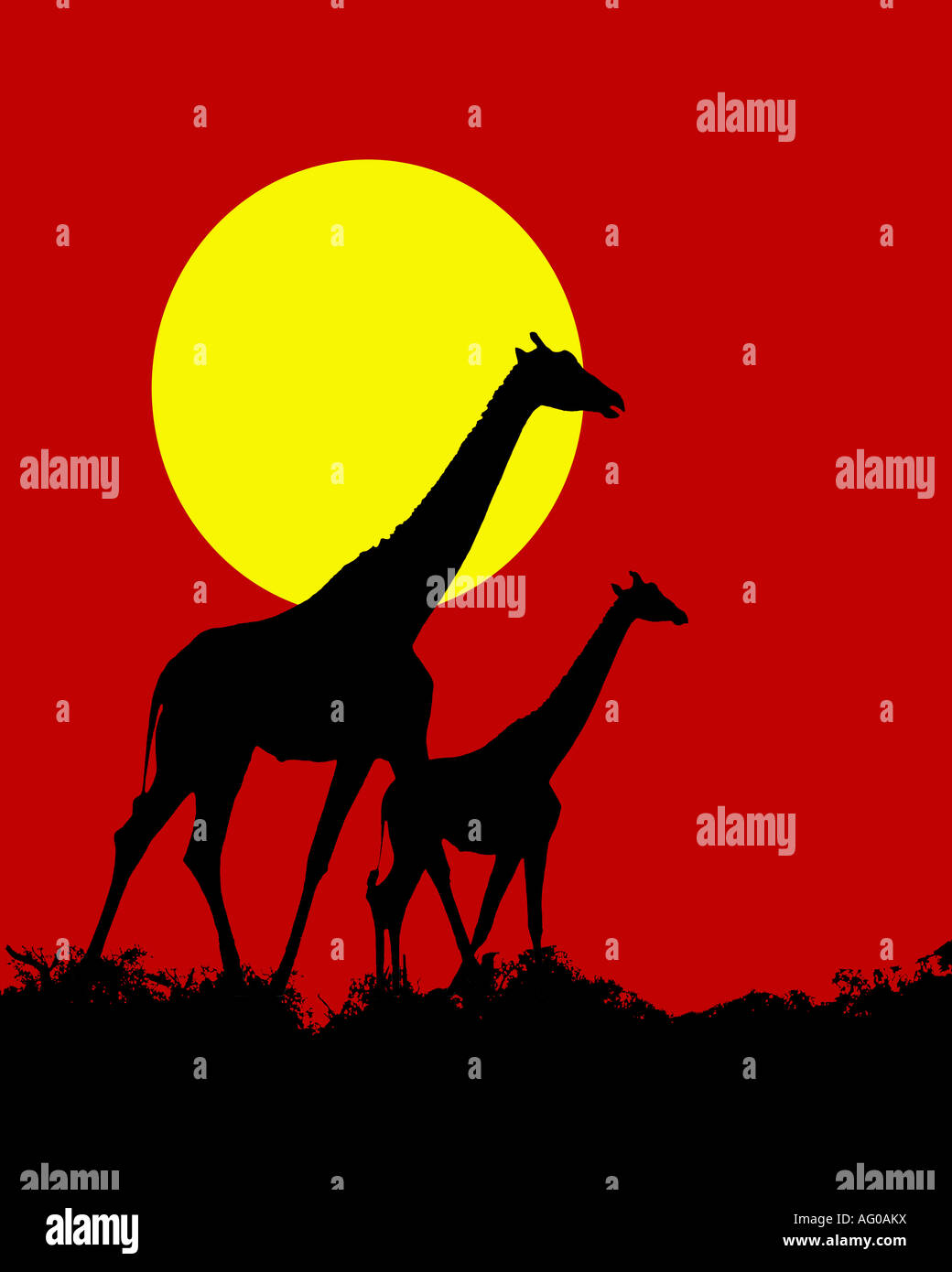 Les Girafes en silhouette Banque D'Images