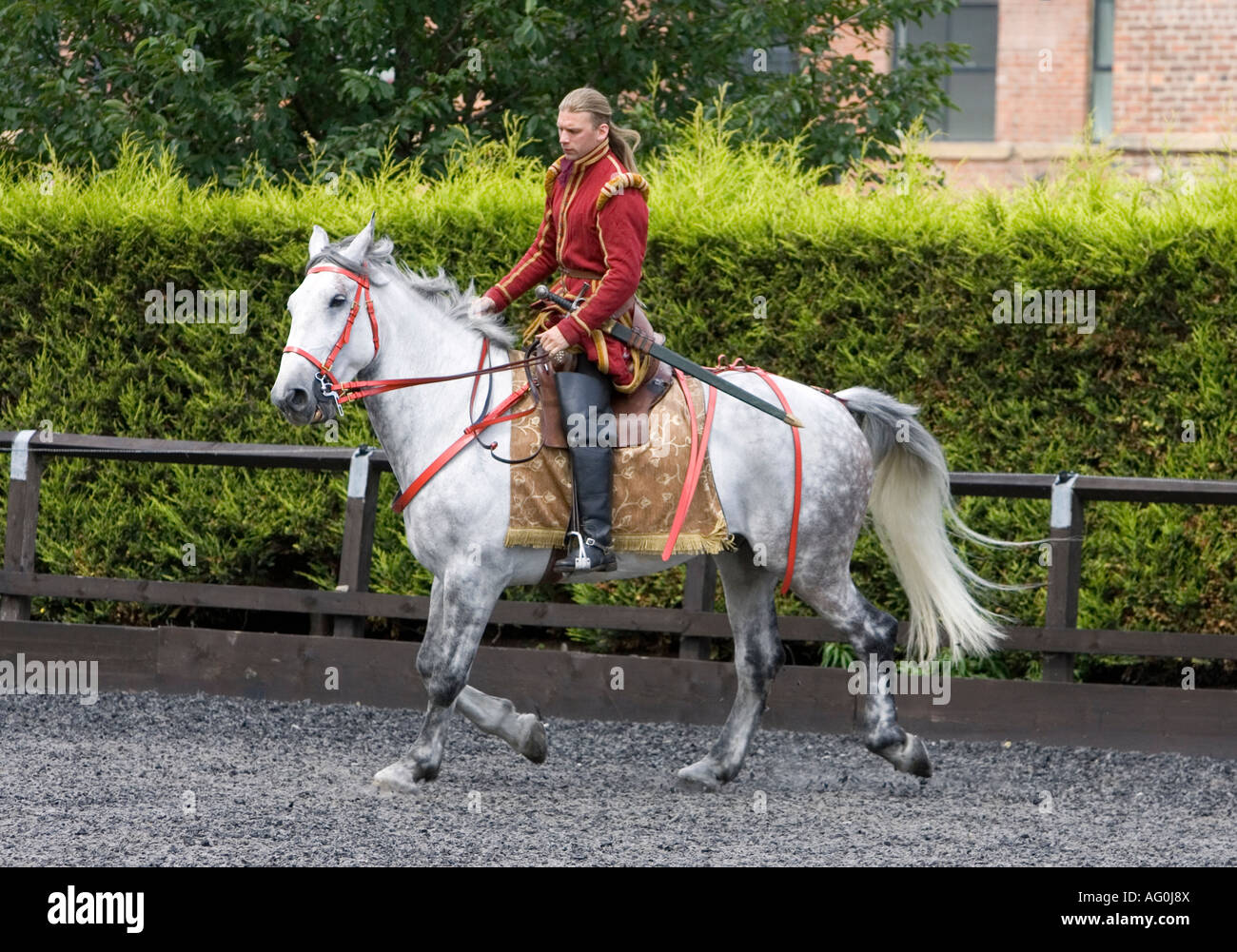 Chevalier Banque D'Images