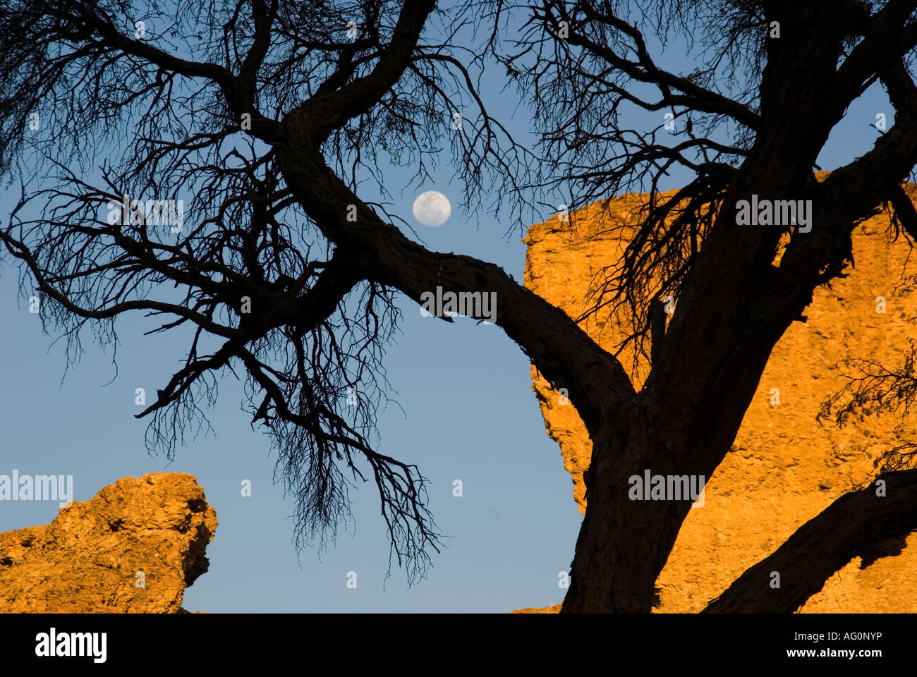 Lune se lever sur Sesriem Canyon, une gorge étroite à Sossusvlei, Naukluft Park, Namibie Banque D'Images