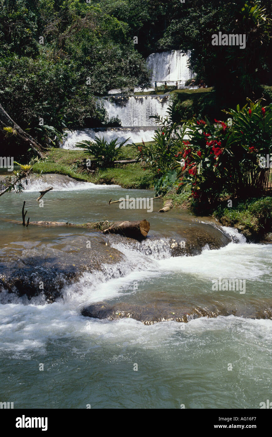 La Jamaïque Ochos Rios cascade dans Shaw Park Gardens Banque D'Images