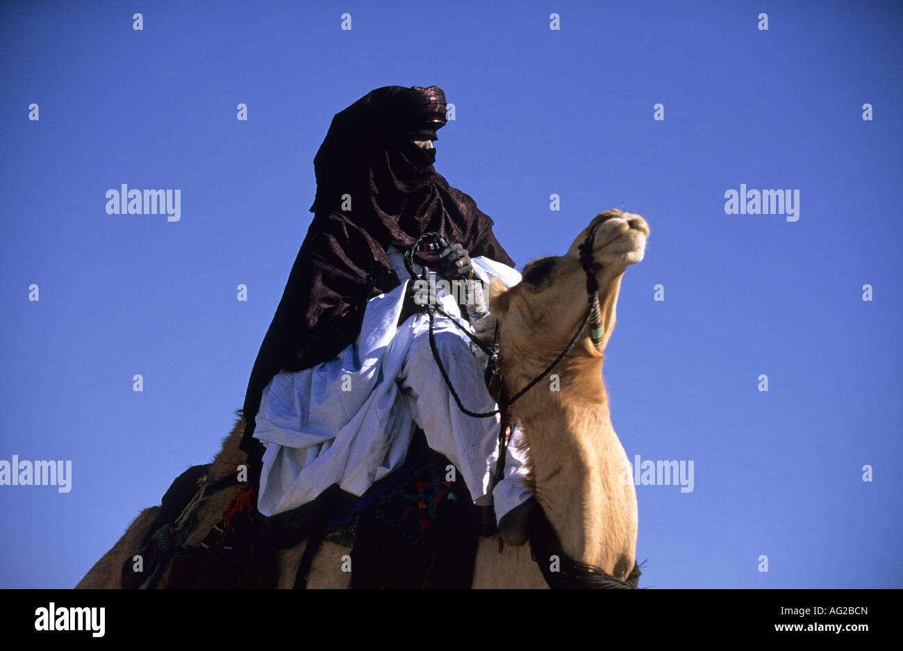 L'Algérie Tamanrasset Homme de tribu touareg assis sur camel pendant le festival du printemps ou TAFSIT Banque D'Images