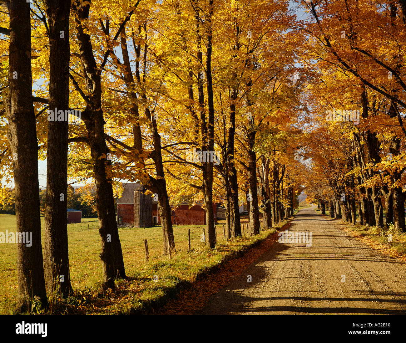 L'arrière pays près de Barnet Road Virginia USA pendant la saison des feuilles d'automne Banque D'Images