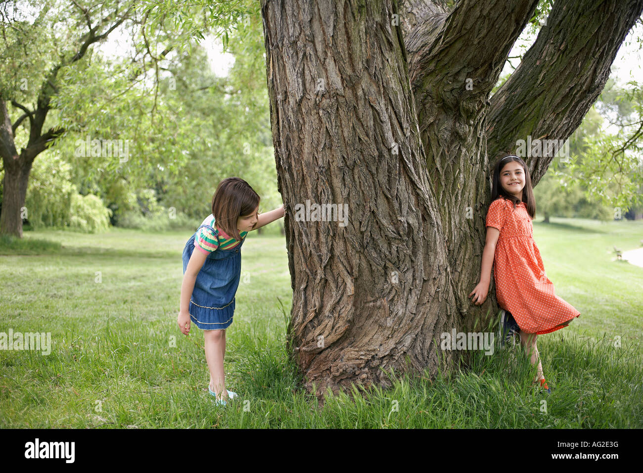 Deux jeunes filles (7-9) joue à cache-cache par tree Banque D'Images