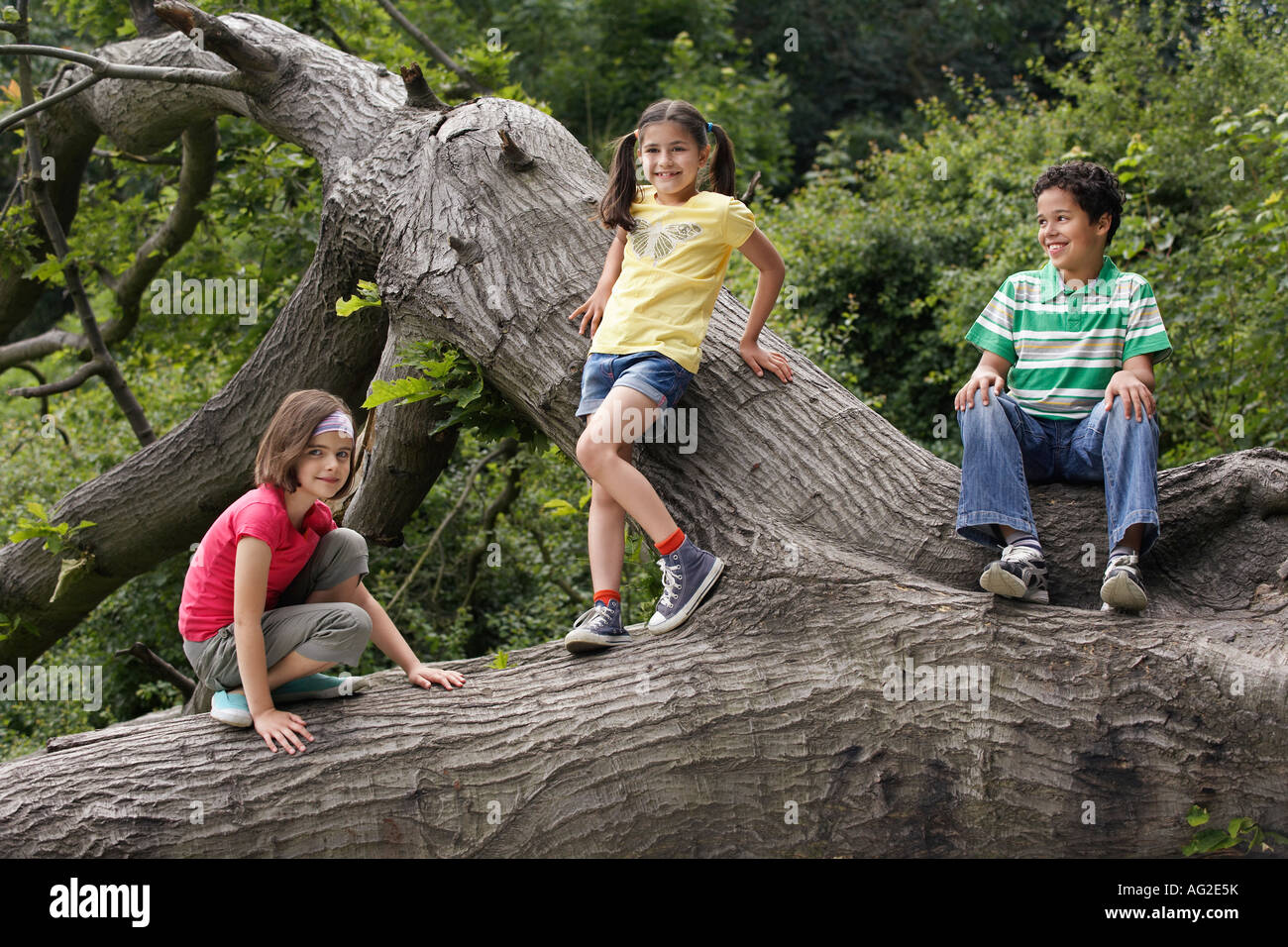 Trois amis (7-9) sur l'arbre tombé Banque D'Images
