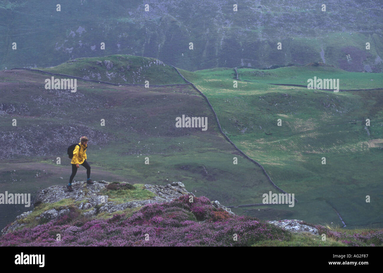 Bryn Brith Hill Walking Gwynedd Snowdonia au Pays de Galles UK 15660RW1 Banque D'Images