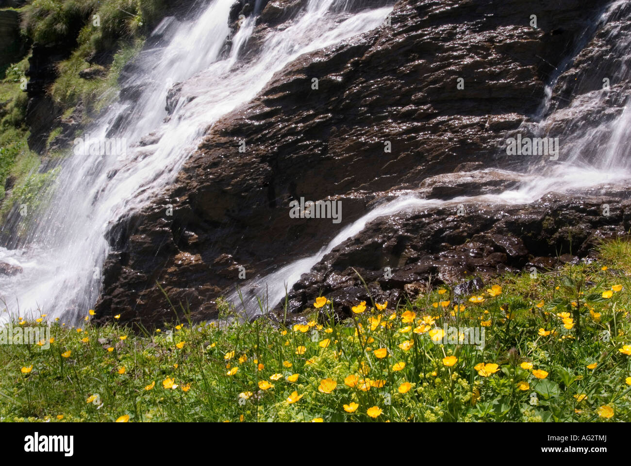 Swiss Mountain waterfall et flower meadow Banque D'Images