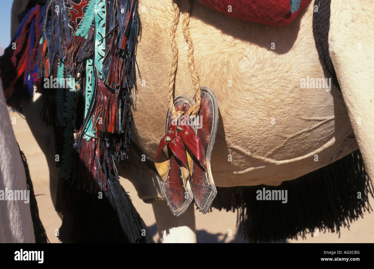 L'Algérie Tamanrasset de sandales homme touareg accroché sur camel Banque D'Images