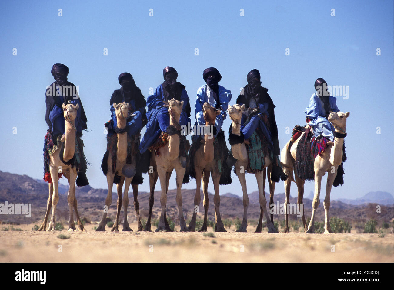 L'Algérie Tamanrasset touareg sur les hommes de chameaux au cours festival appelé Tafsit Banque D'Images