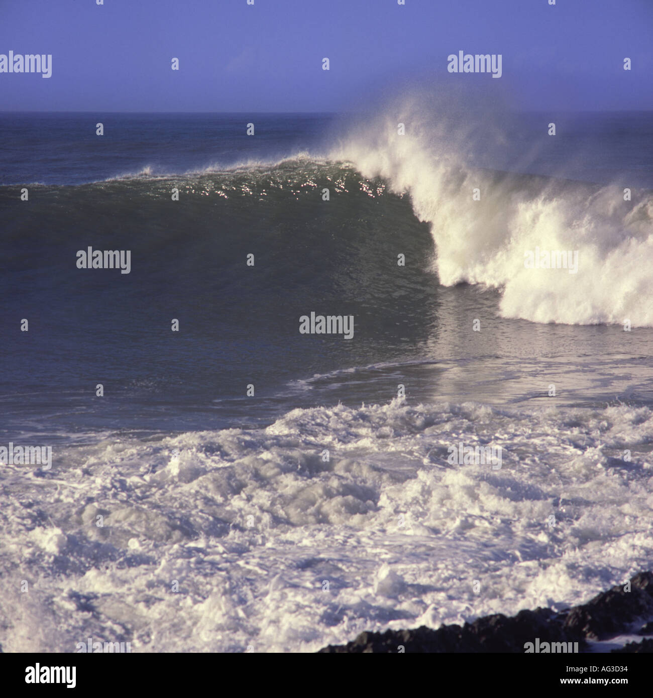 Mousse blanche et spray s'envoler haut de rupture de l'onde lisse classique à Saunton Point près de Croyde Bay North Devon, Angleterre Banque D'Images