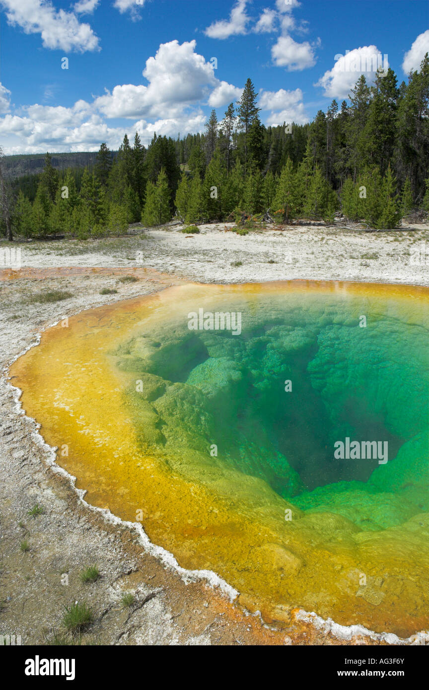 Gloire du matin la piscine geyser basin le parc national de Yellowstone au Wyoming usa États-Unis d'Amérique Banque D'Images