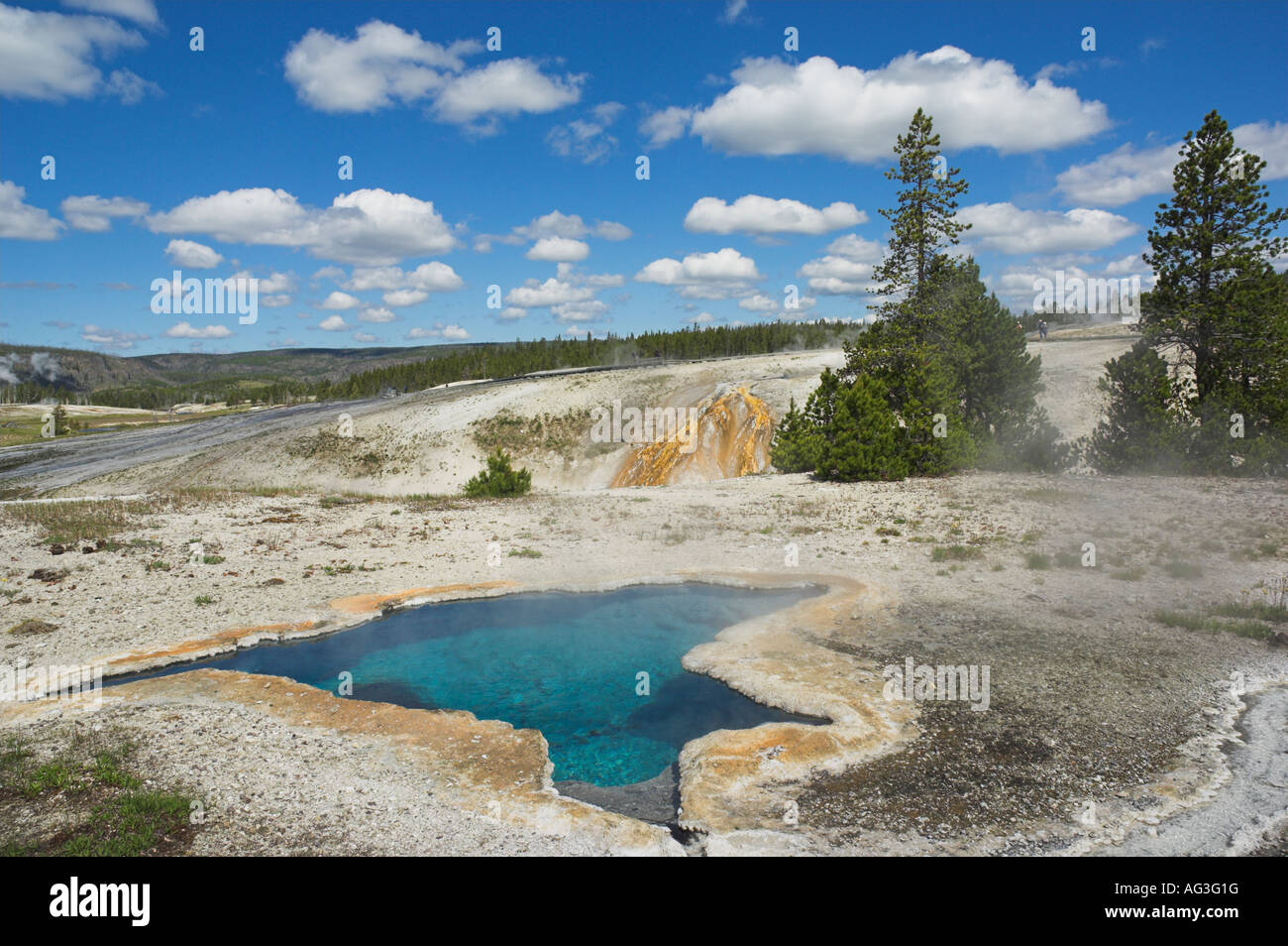 Blue Star geyser basin supérieure du ressort le parc national de Yellowstone au Wyoming usa États-Unis d'Amérique Banque D'Images