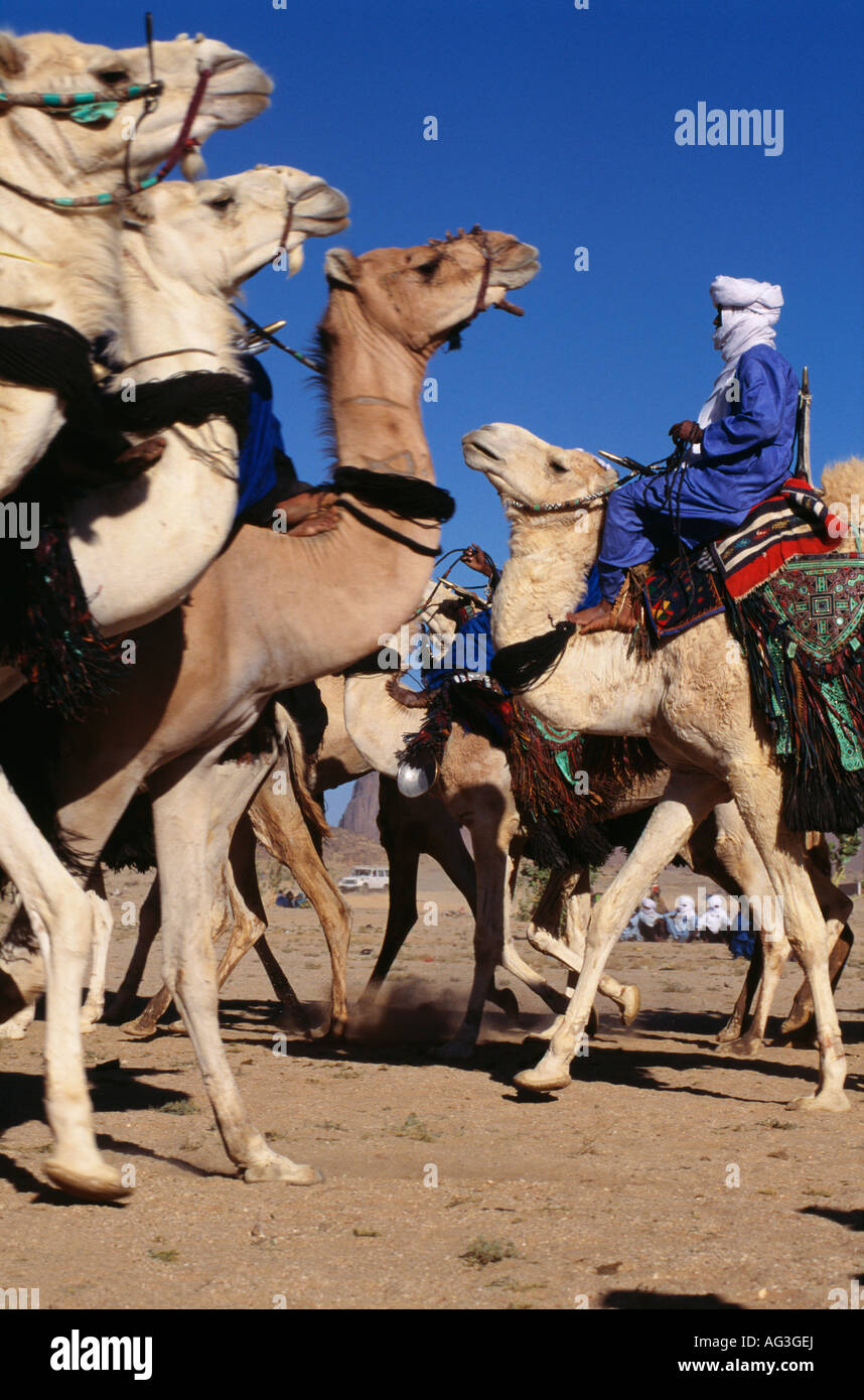 L'Algérie Tamanrasset les hommes de tribu touareg équitation sur des chameaux pendant festival appelé Tafsit Banque D'Images