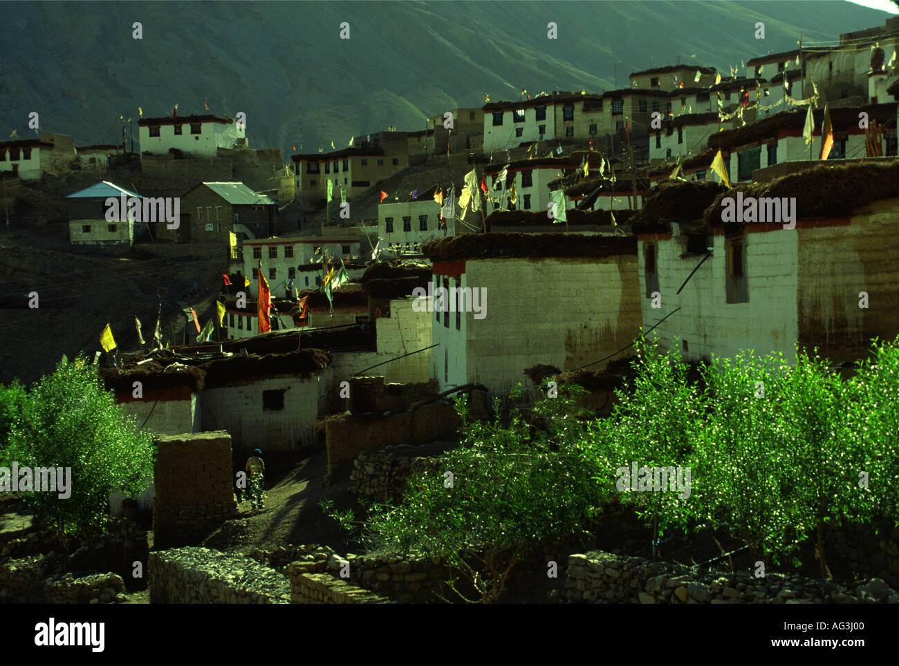 Fin d'après-midi dans le village tibétain 4205 Kibbur m'Himachal Pradesh Inde du nord Banque D'Images