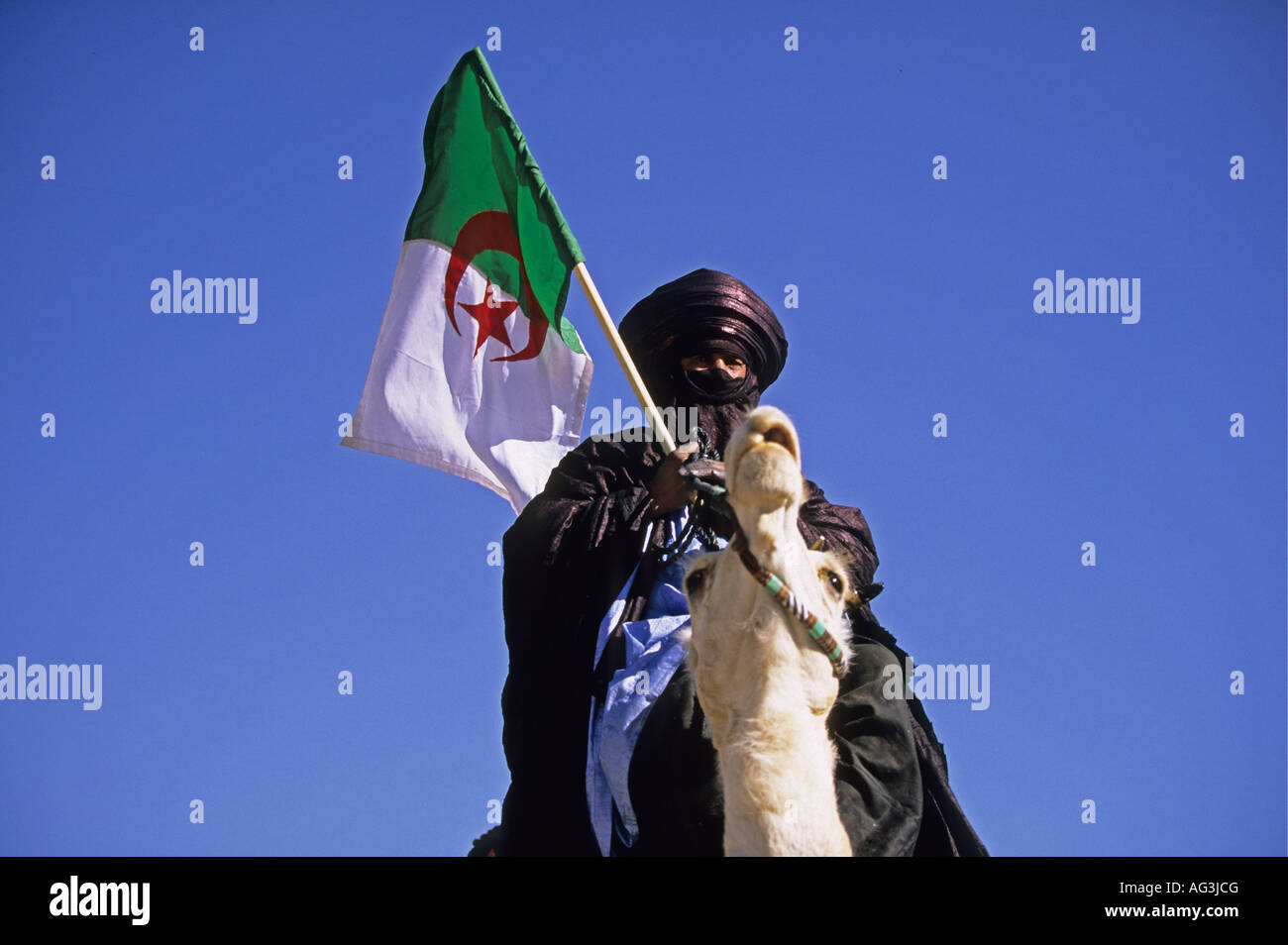 L'Algérie Tamanrasset Homme de tribu touareg assis sur camel et tenant un drapeau pendant la fête du printemps ou TAFSIT Banque D'Images