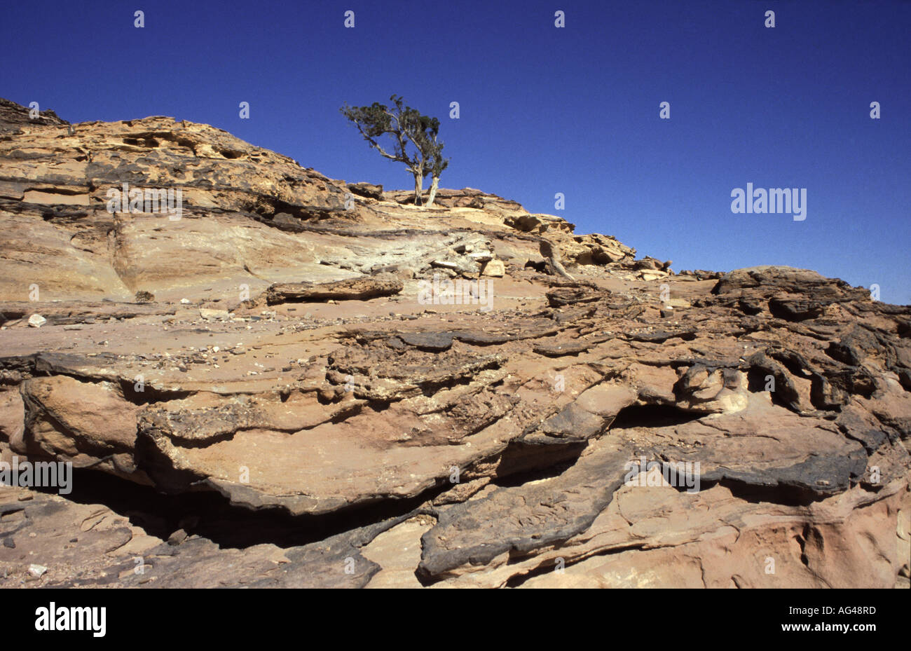 Le grès rouge de paysage biblique Mt Hor, lieu de sépulture de Aaron près de Petra, en Jordanie. Banque D'Images