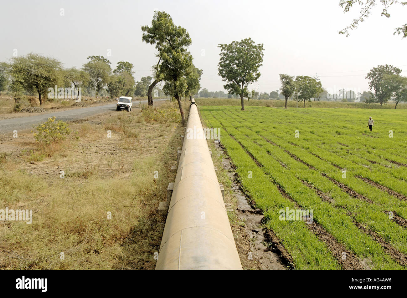 HMA79214 Water pipeline à travers champs village Akola Maharashtra Inde Akot Banque D'Images