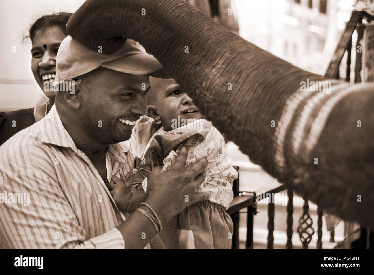 ARF79259 Un éléphant bénit une famille dans une rue à Bangalore Inde Banque D'Images