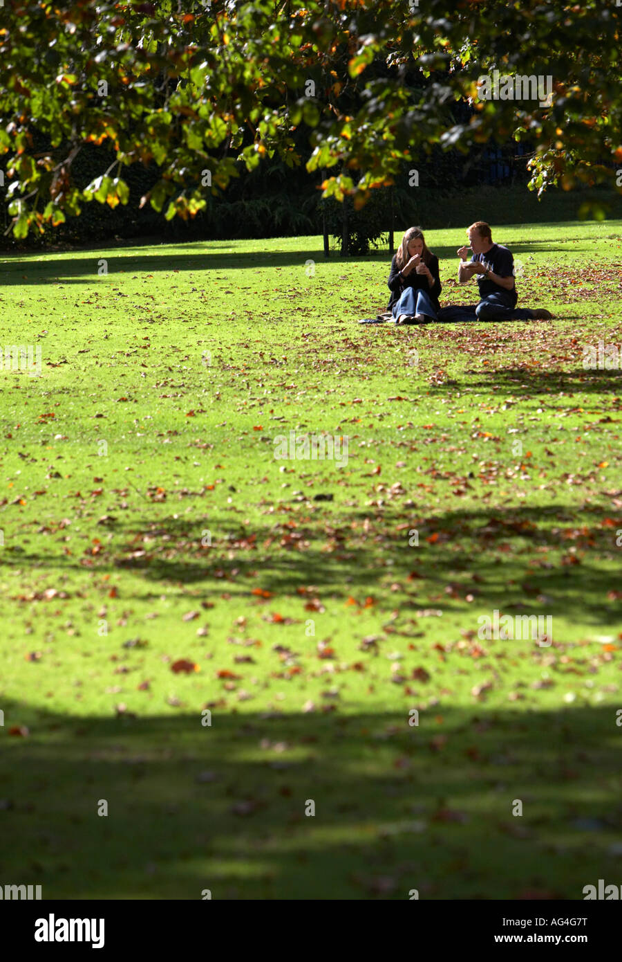 Couple bénéficiant d'un déjeuner assis sur l'herbe sous les arbres avec des feuilles mortes dans un parc public Banque D'Images