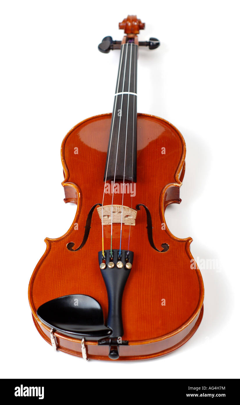 Un beau violon sur fond blanc Banque D'Images