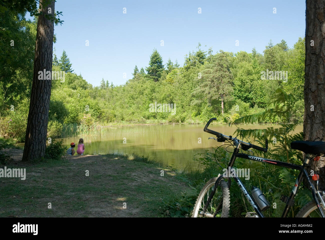 Le Lac Louisa Bedgebury Forest Trail cycle famille parrainée par Kent Commission forestière et Sport England Banque D'Images