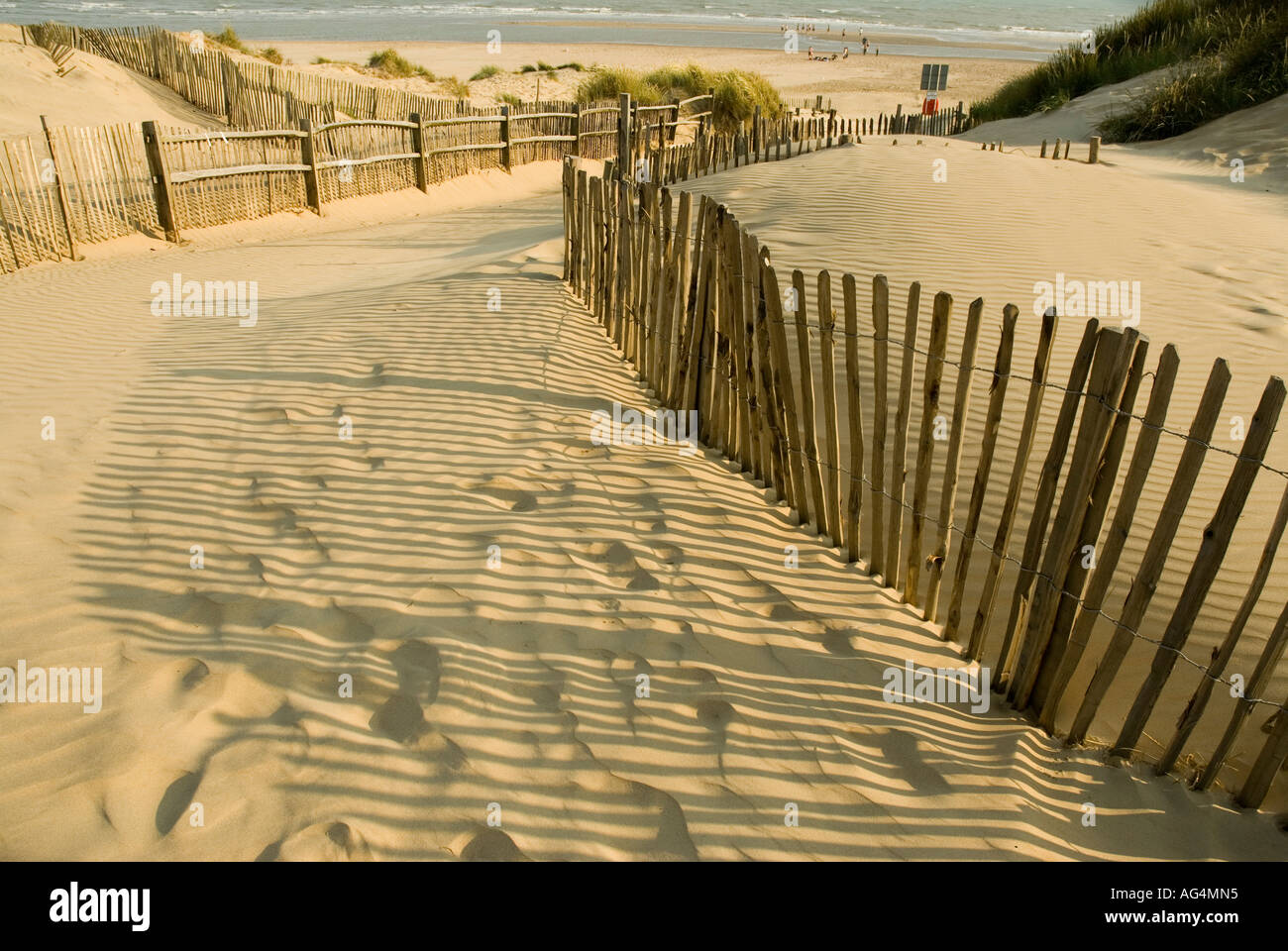 Dunes de sable avec des clôtures de Camber Sands East Sussex côte sud de l'Angleterre La Grande-Bretagne UK Banque D'Images